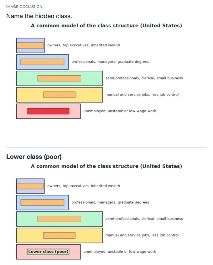 Sample card from Social Inequality and Health Disparities, answer side