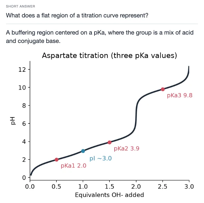 Sample card from Amino Acids, Proteins and Enzymes, answer side