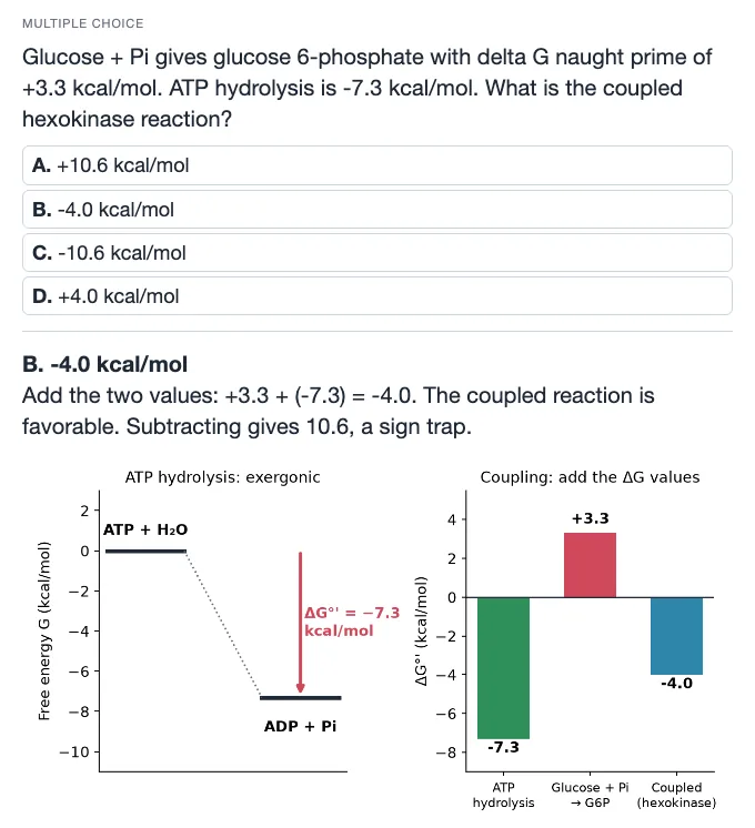 Sample multiple choice card: Glucose + Pi gives glucose 6-phosphate with delta G naught prime of +3.3 kcal/mol. ATP hydrolysis is -7.3 kcal