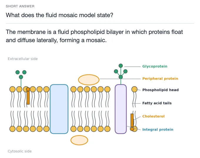 Sample card from Cells, Membranes and Tissues, answer side