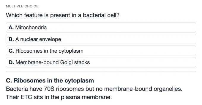 Sample multiple choice card: Which feature is present in a bacterial cell?