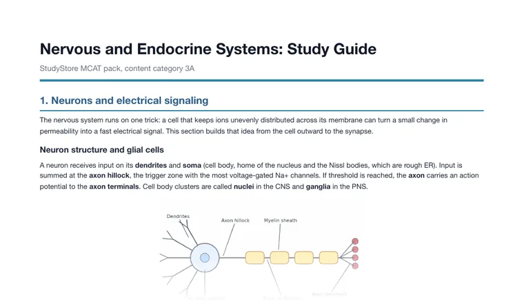 Study guide, page 1 (partial preview)