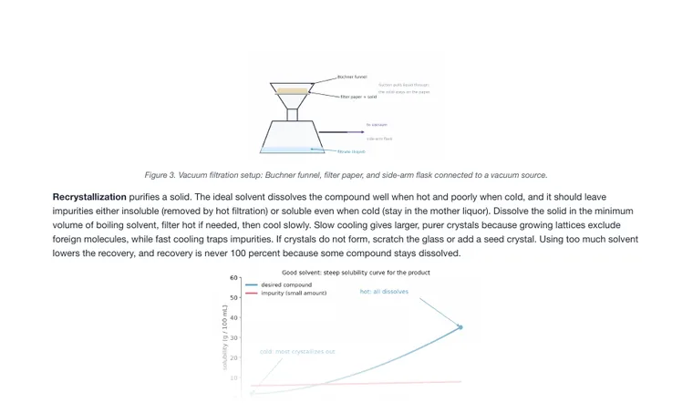 Study guide, page 2 (partial preview)