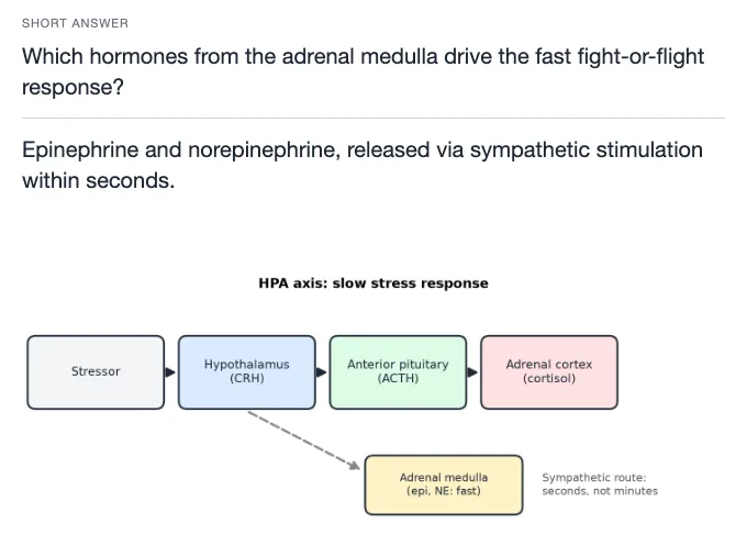 Sample card from Biological and Individual Influences on Behavior, answer side